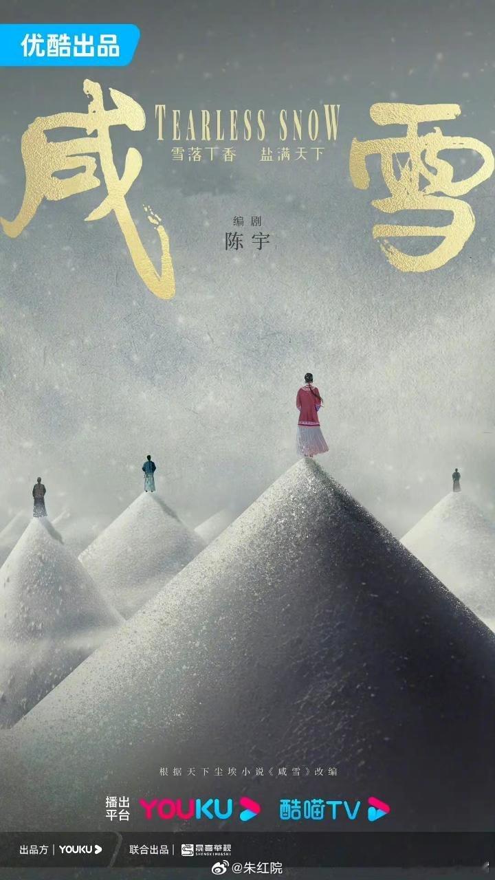 咸雪 🍉优酷视频年代权谋大剧《咸雪》正式进入选角收尾阶段，女主已定刘亦，男主最