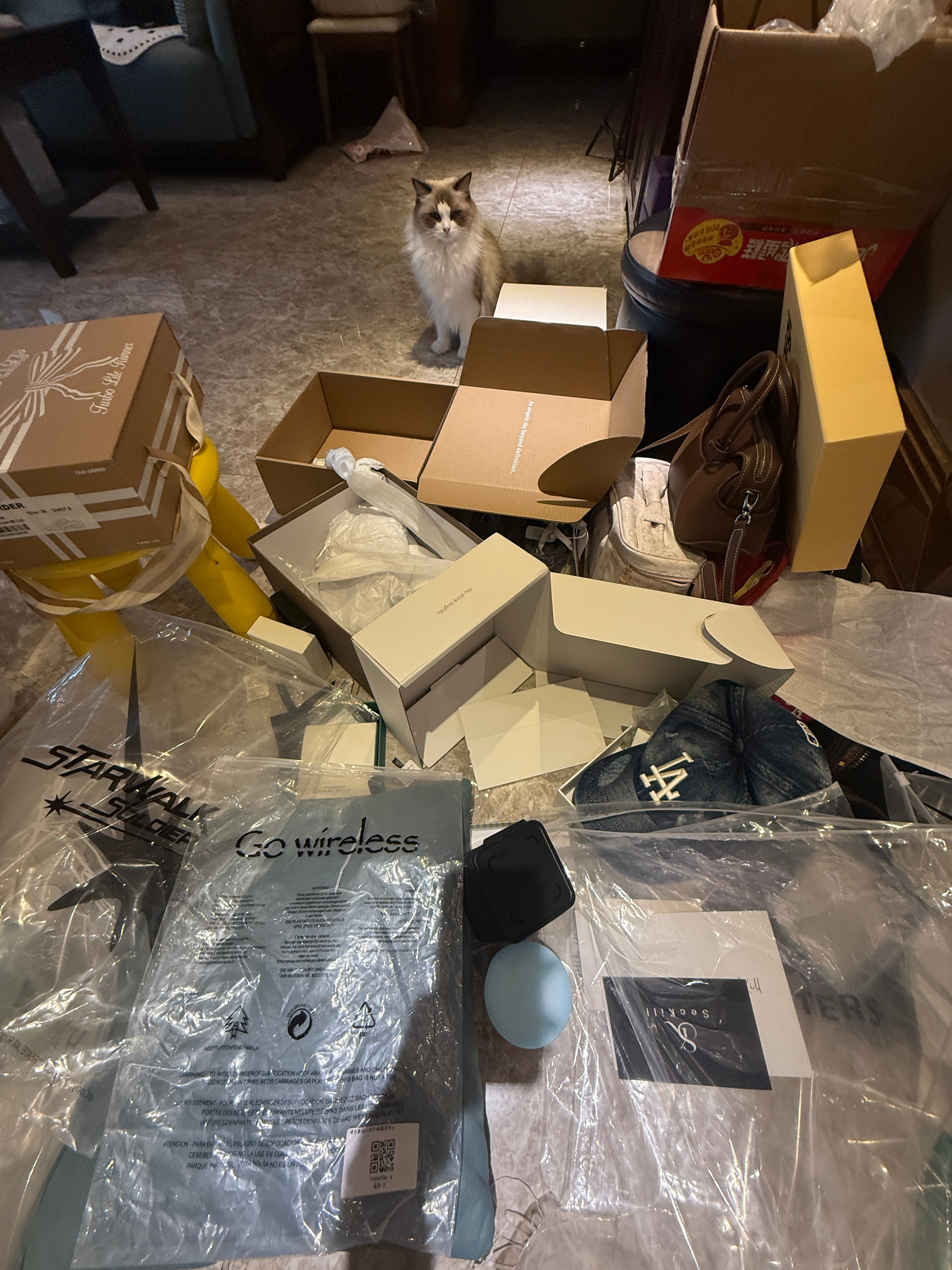 累鼠了 拍完购物分享就这样 ​​​