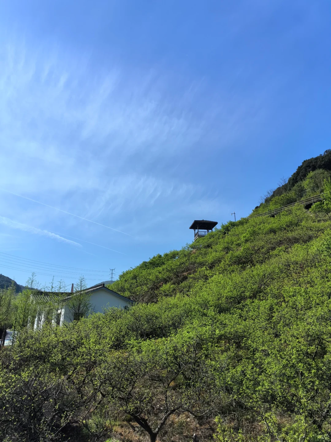 胃不好时，去赴山海