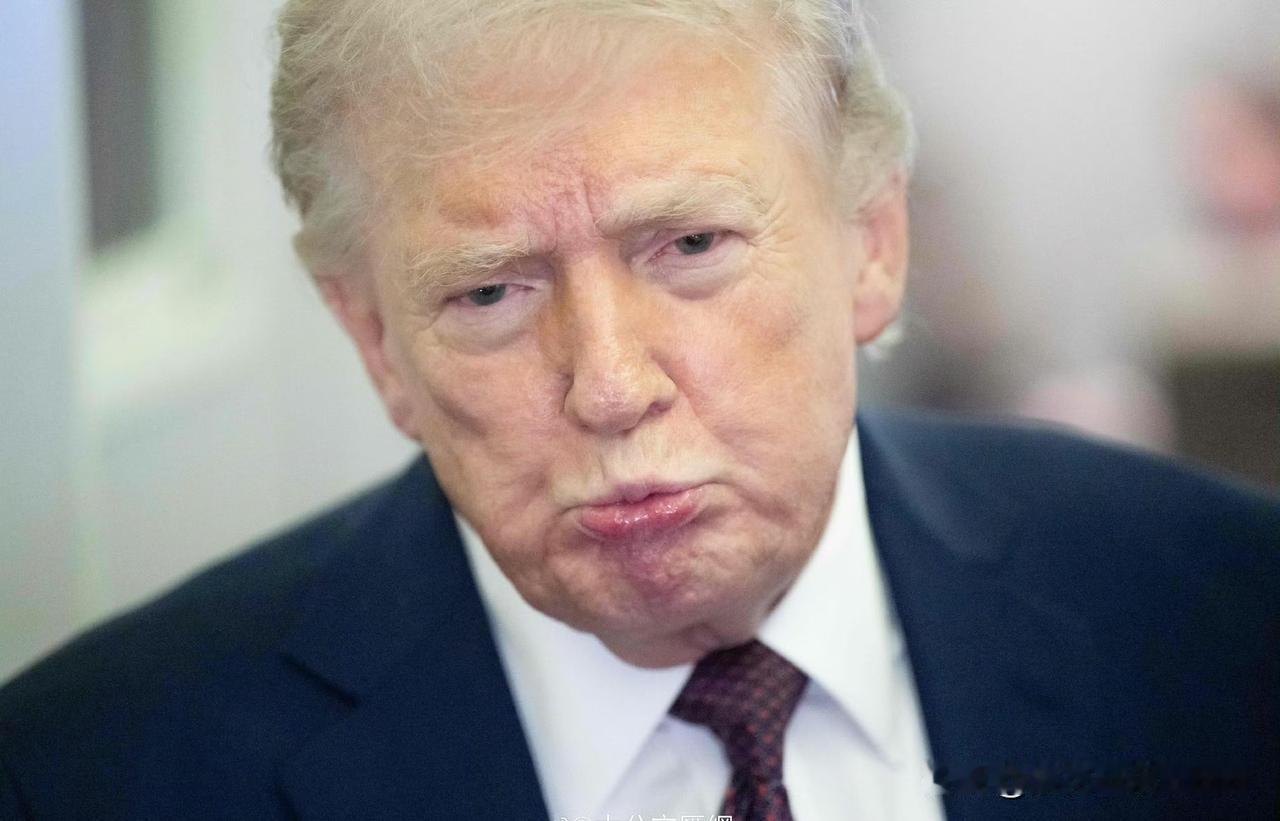 川普太难了？！[捂脸]
看看目前各国对美国“护航联盟”的态度:

🇯🇵 日本