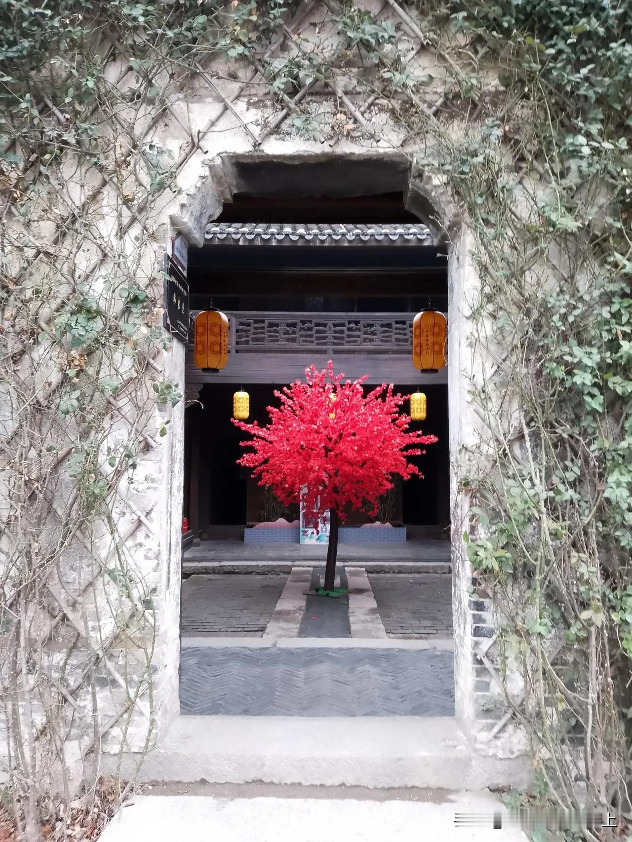 随手拍：虽是假花，效果还不错！