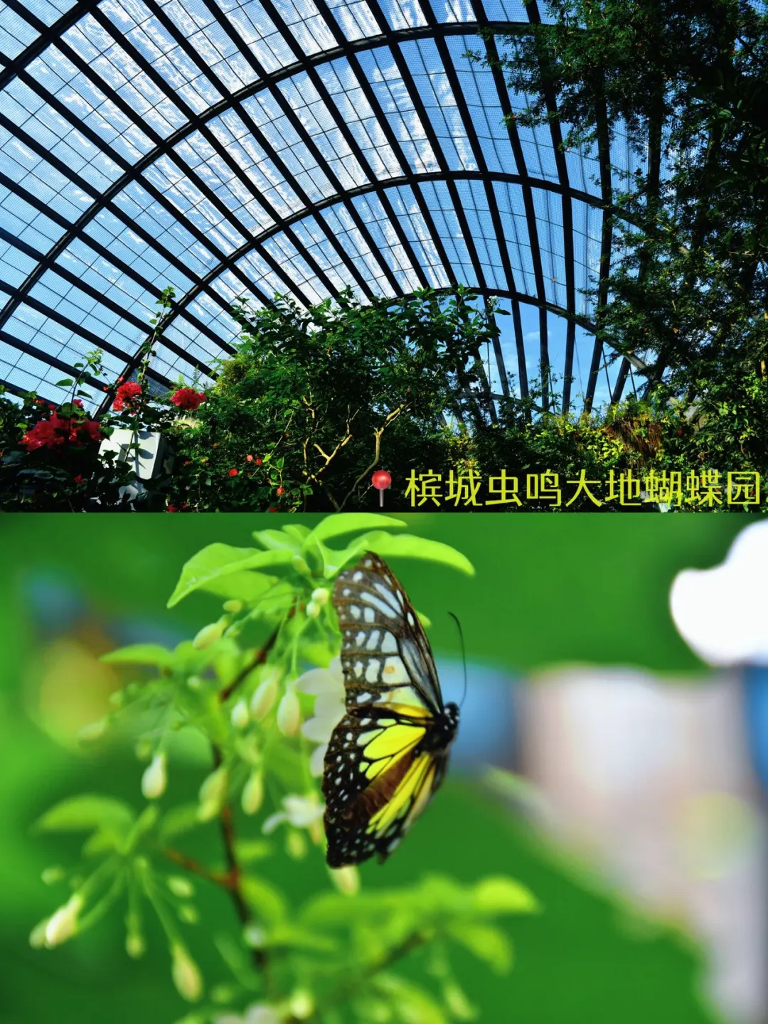 暑期和家人一起来槟城度假，槟城的气质很适合全家人悠哉悠哉地出行，可以算...