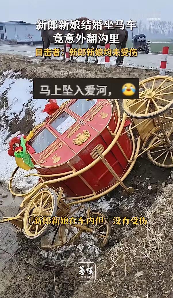 新娘新郎坐马车意外翻进沟里，小夫妻真幸福！“马上坠入爱河，从此幸福生活。新郎新娘