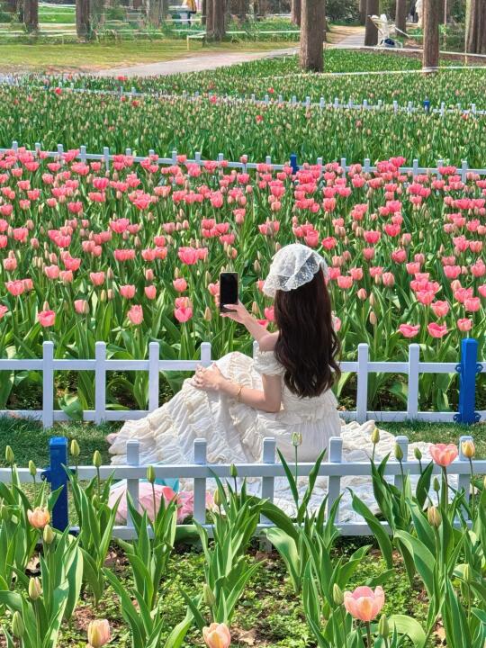 3.11实拍❗️中山植物园郁金香🌷已开50%