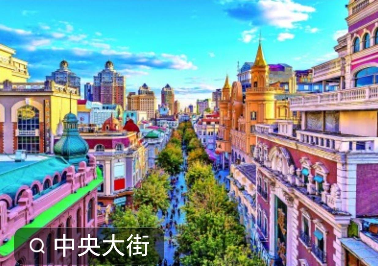 《逗哈尔滨中央大街》
            哈尔滨中央大街，是冰城最动人的风情