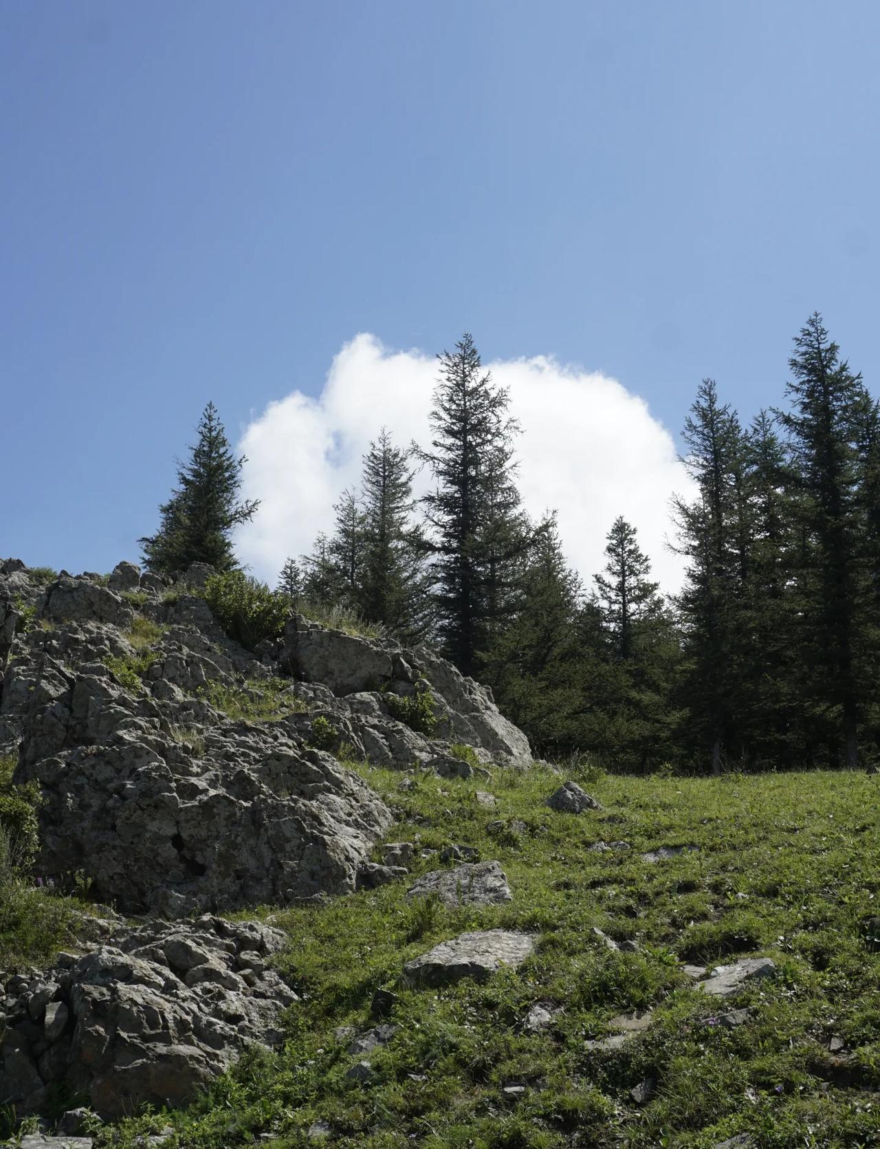 ⛰️ 夏天，去山里避暑吧
在最热的几天到了赤峰
来都来了，哪能甘心待在屋里吹空调