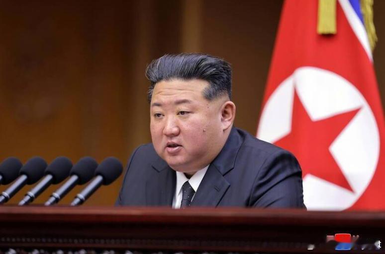 朝鲜宪法删除“统一”条款 对韩国立场更趋强硬海外新鲜事 据法新社6日报道，一份最