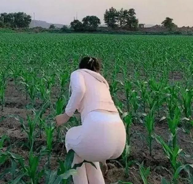 “这就是出轨的代价！” 河南，女子丈夫在外打工，她耐不住寂寞，和给自己家装修的包