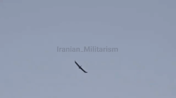 以色列为了渗透，也是费尽了心思
伊朗情报部门最近的清剿行动发现境内间谍使用了一种