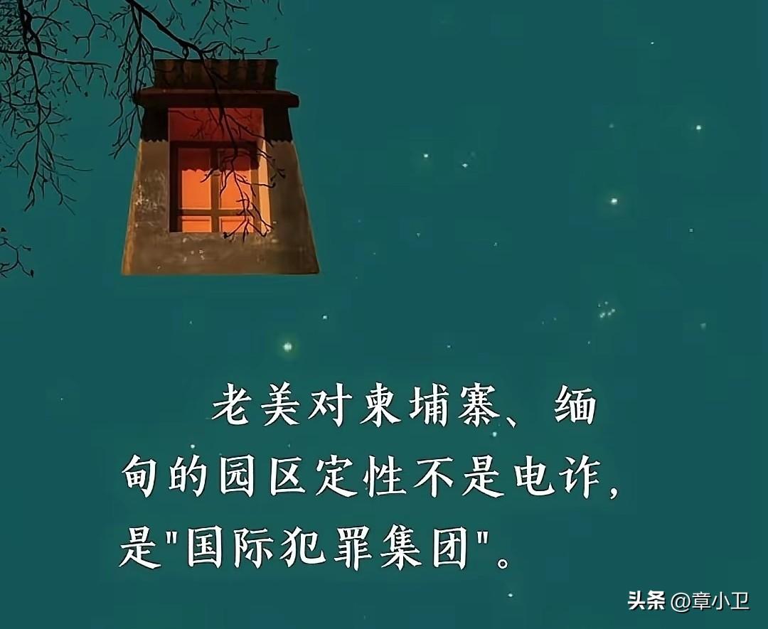 这个定性准确吗？网友说：没毛病啊，绑架，勒索，诈骗，买卖人口，故意伤害，无恶不作