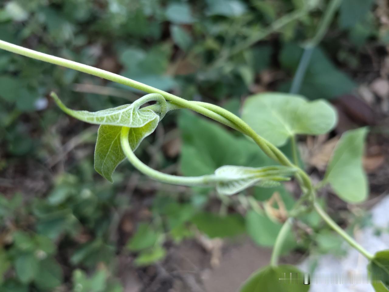 又是崭新的一天
一天好心情
读书
写作
赚钱
投资
助人为乐
一如既往……