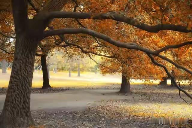 人往高处走,高处有什么?

人往高处走，高处到底有啥？说白了，高处有更多选择权。