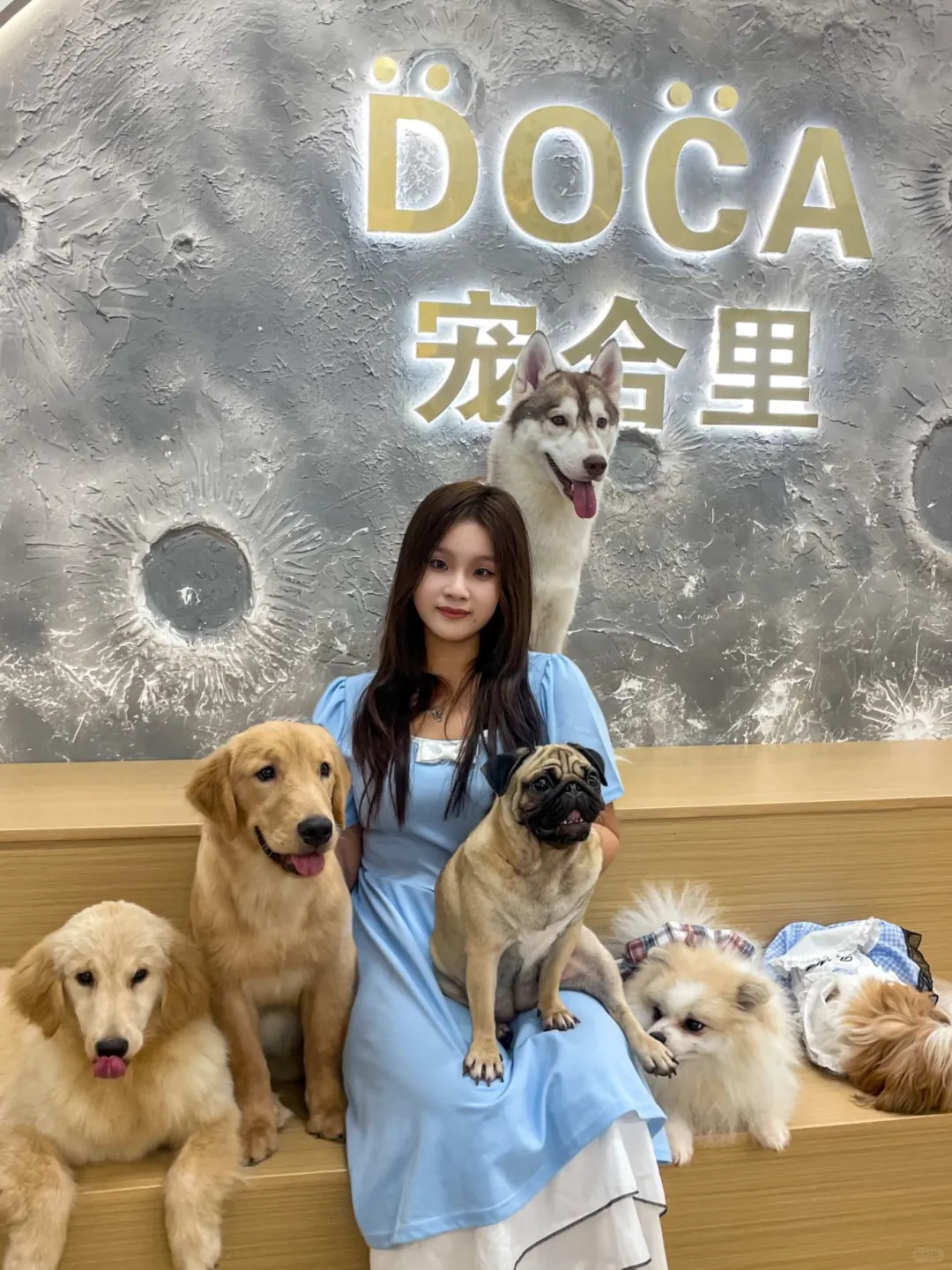 太可爱了，进去了就不想出来了