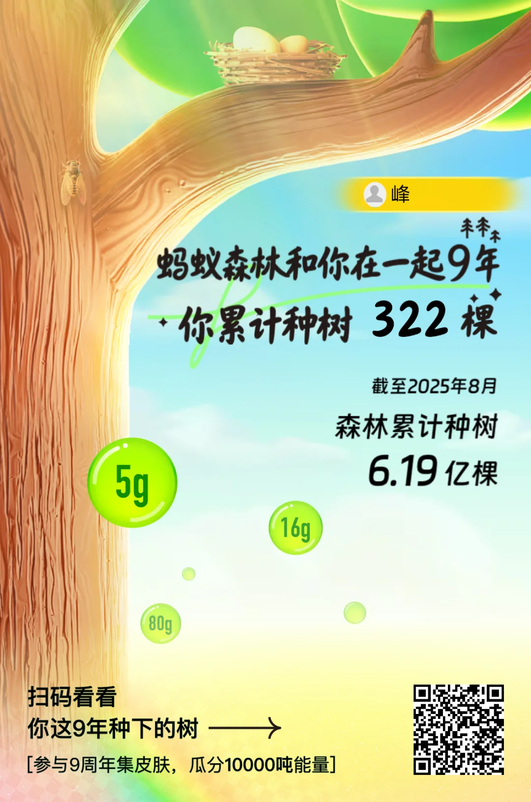 蚂蚁森林 蚂蚁森林神奇物种