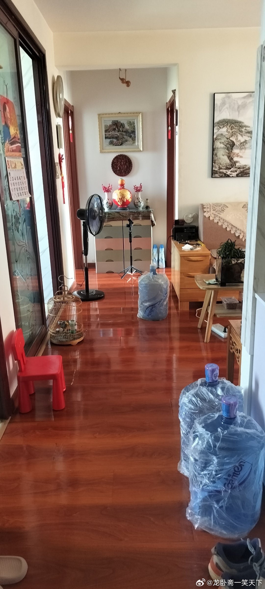 雅儒随手拍