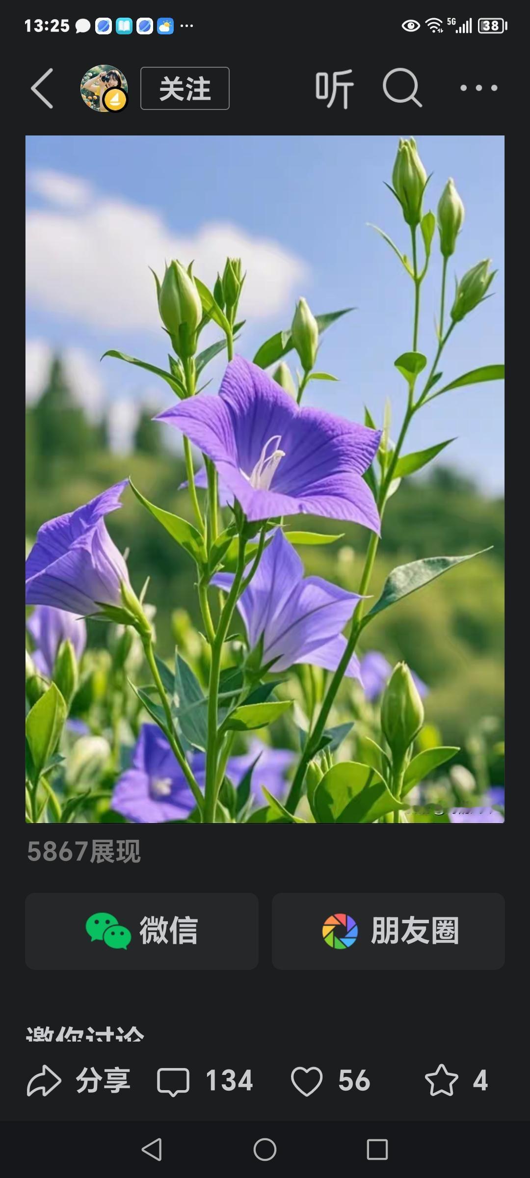 五言诗～野花自白

野花开一片，
伴美大自然。
无须人功育，
年年自开鲜。
野花