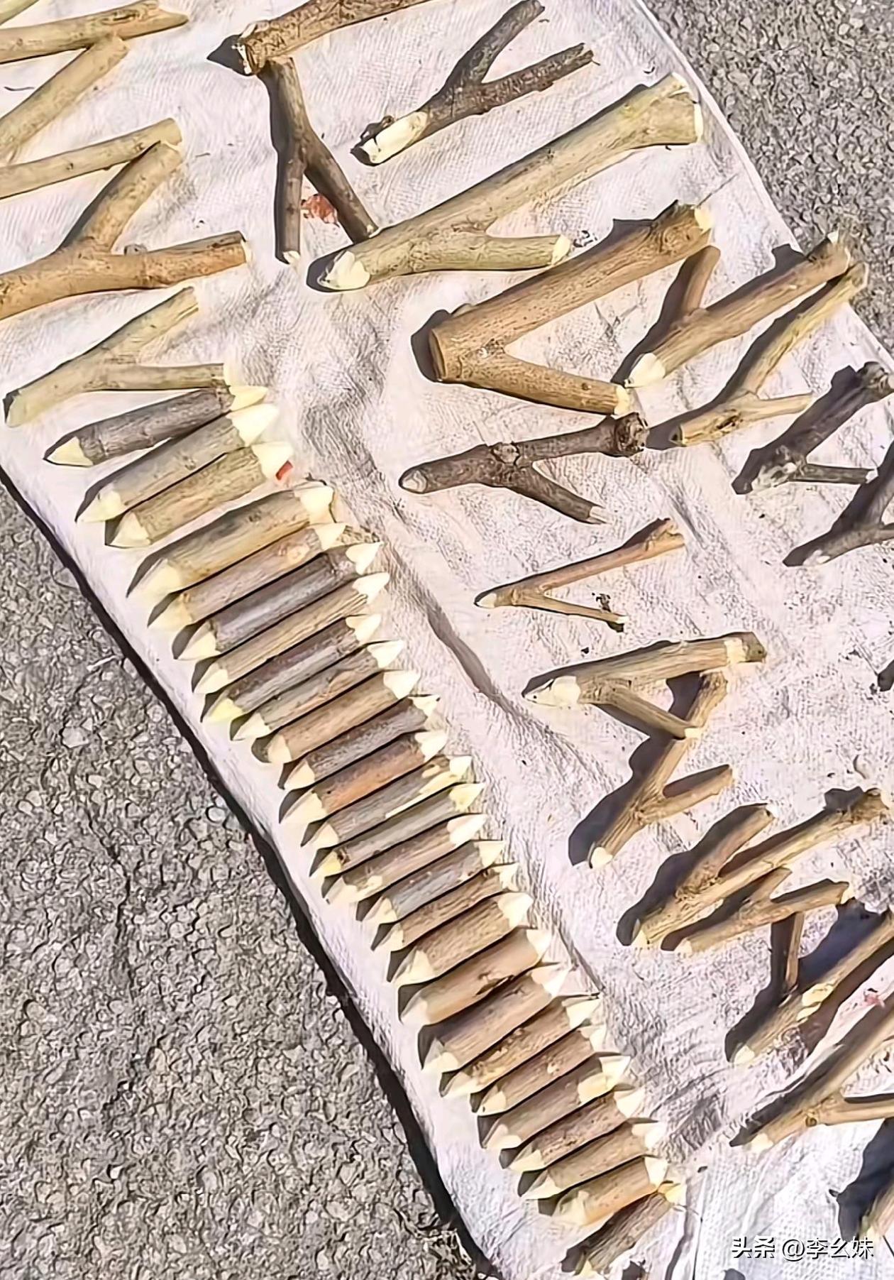 只有山东人知道的东西