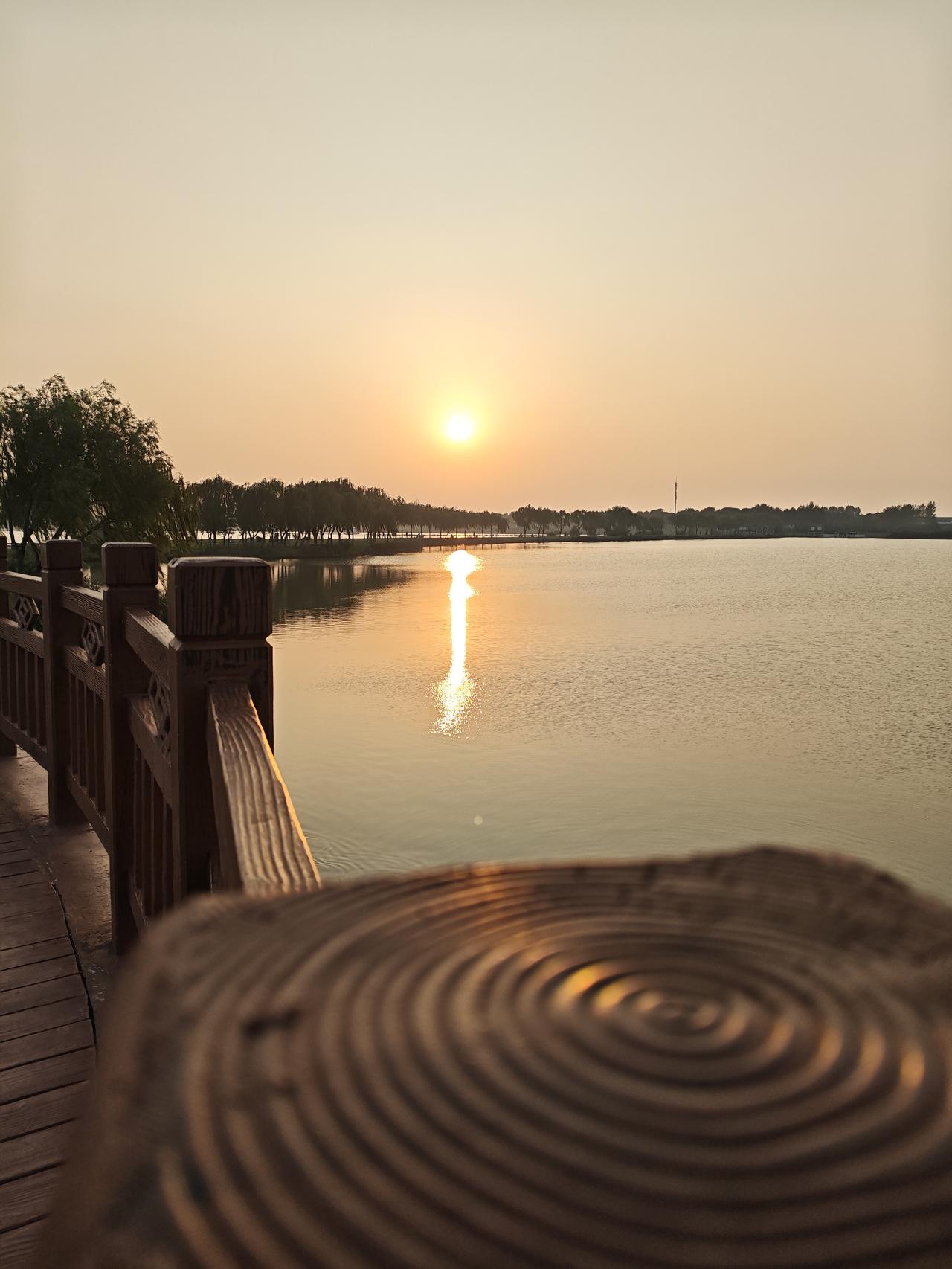 晒图笔记大赛冬日的太阳把最后一抹暖光铺在湖面上，坐在木凳上吹着软乎乎的风，所有疲