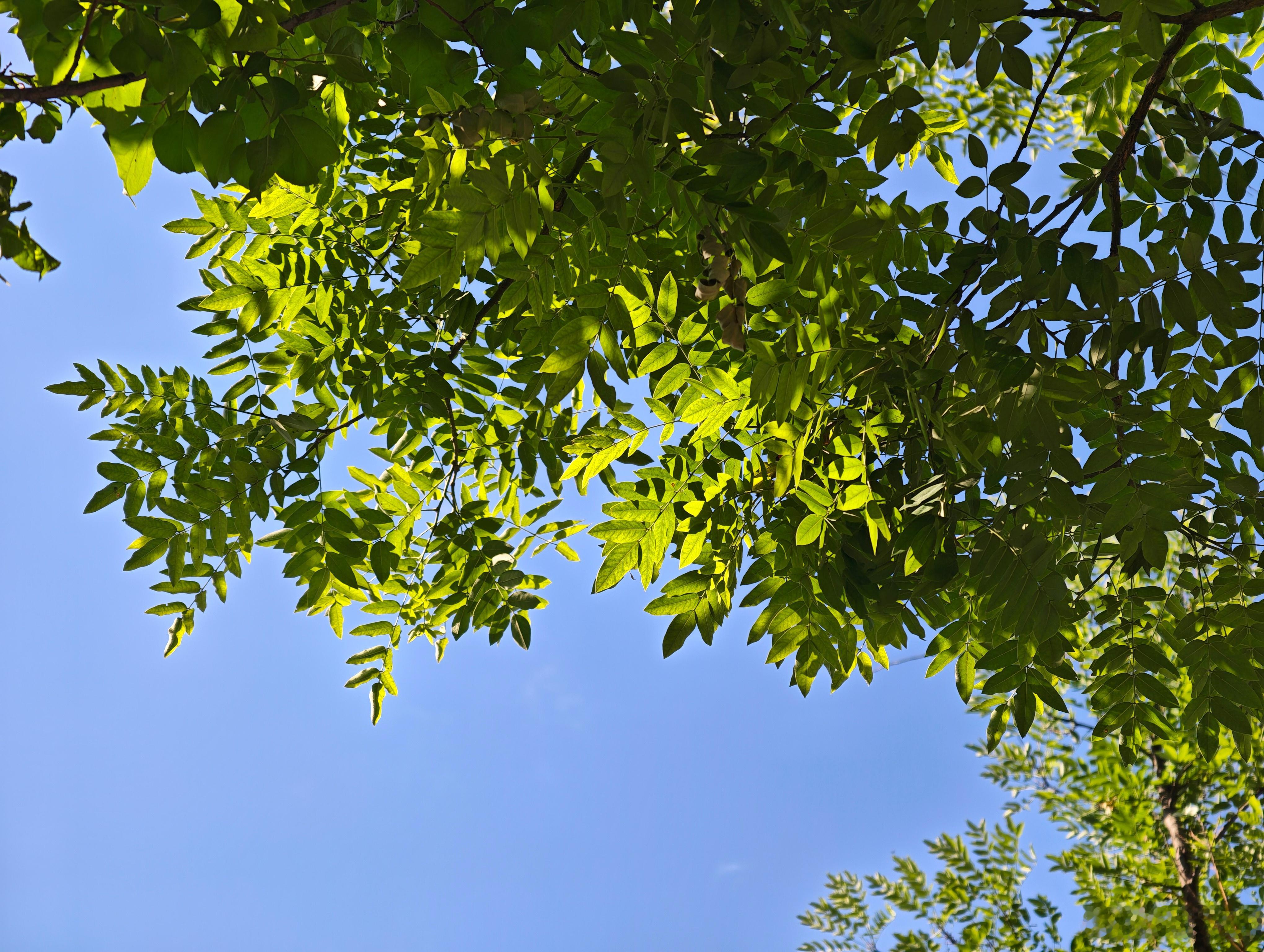 特别喜欢夏季天气晴朗的早晨，不热不冷特别舒服。 