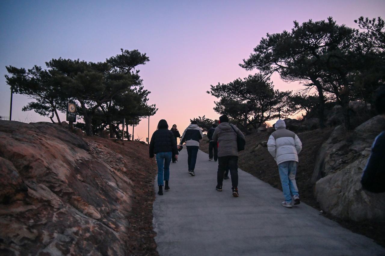 凌晨六点，我摸黑爬上天台山。
山顶的风像清醒剂——直到东方的云海开始泛起蟹壳青。