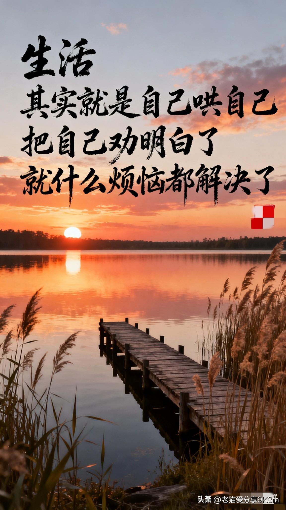 中年最大的从容：
允许一切发生，包括失去

人到中年，终于明白，真正的强大不是紧