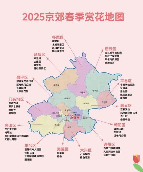 北京多彩春花地图已上线，满城春色一键收藏。三月起，梅花、山桃、玉兰次第绽放，明城