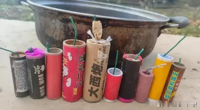 鞭炮炸狗盆。你这个够打一场小型战役了，[捂脸]有懂的不？
#记录我的2024# 