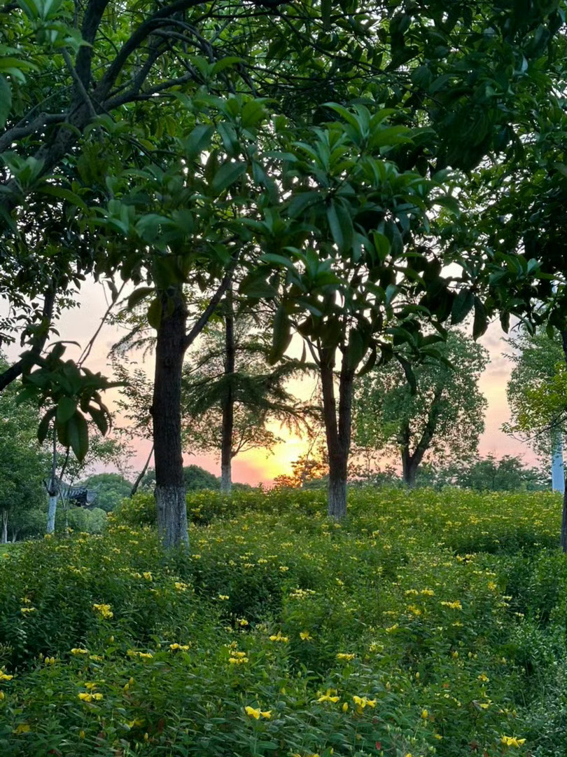 善良，有时，它是风雨中悄然为你撑开的一把伞;有时，它是黑暗中为你倏然点亮的一盏灯