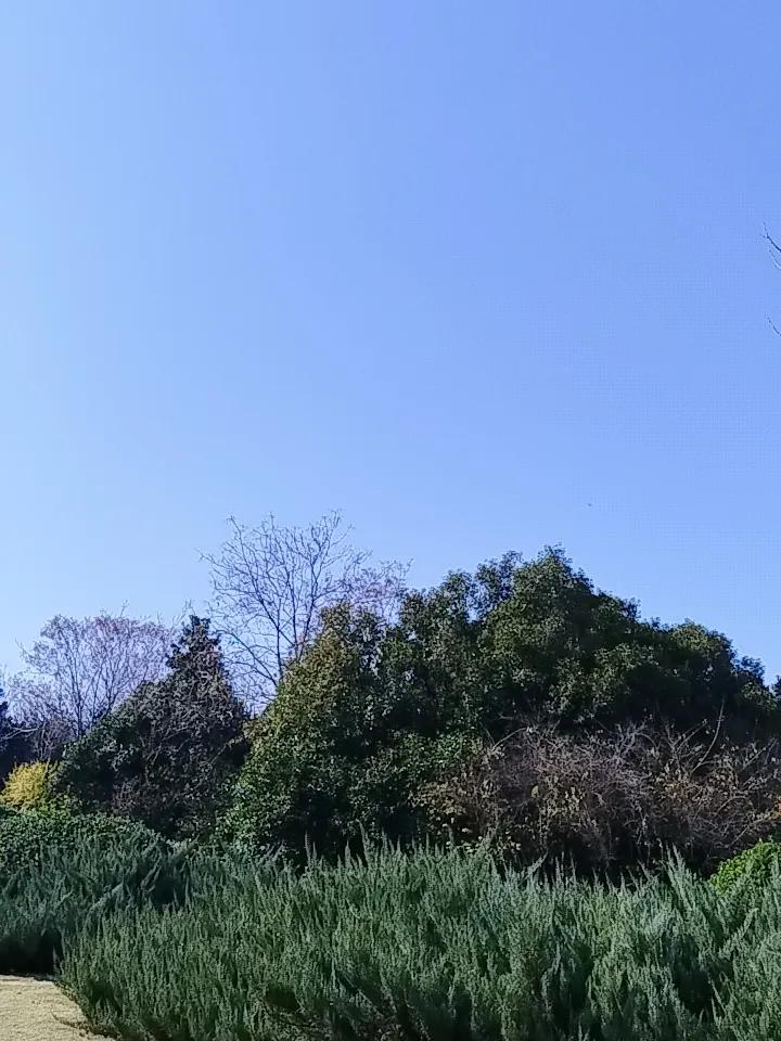 拍一张你的城市天空风景吧