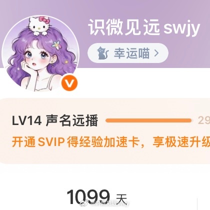 爱你的第 1099天
