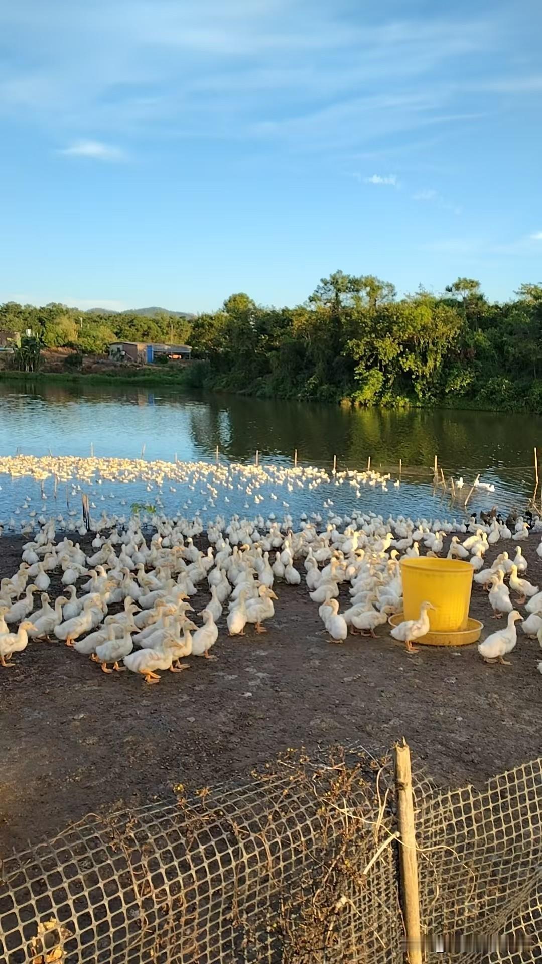 在一段感情里为什么会慢慢的选择分开？

其实在感情里没有一开始，两个人是情投意合
