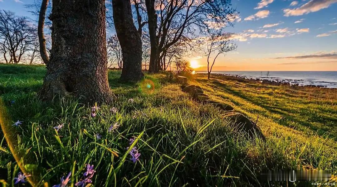懂得太多，看得太透，就会变成世界的孤儿。
要知道：世上有两样东西不可直视，一是太