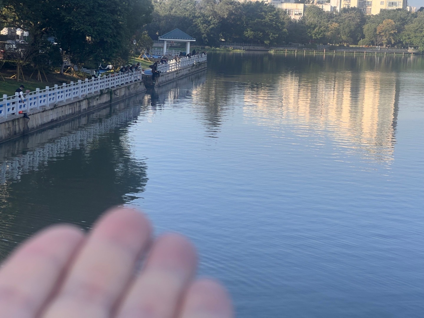 这就是最高境界的生活呀，30米的距离，20人在钓鱼。 