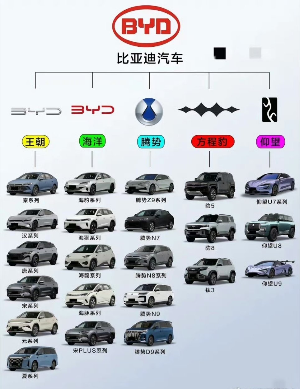 比亚迪的车型这么多，却因为不会搞互联网宣传，知名度被只有两三款车型的小米吊打。。