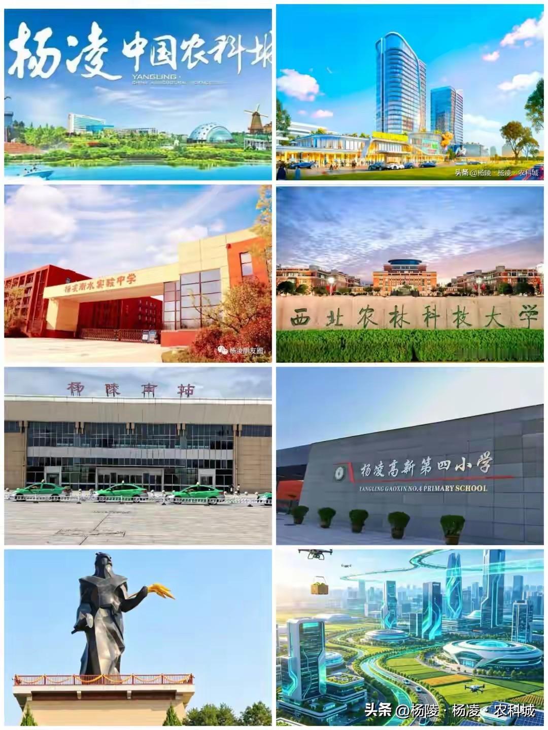 杨凌放大招！12个片区组团崛起，2030年全域共富，陕西乡村振兴聚焦于此！ 杨凌