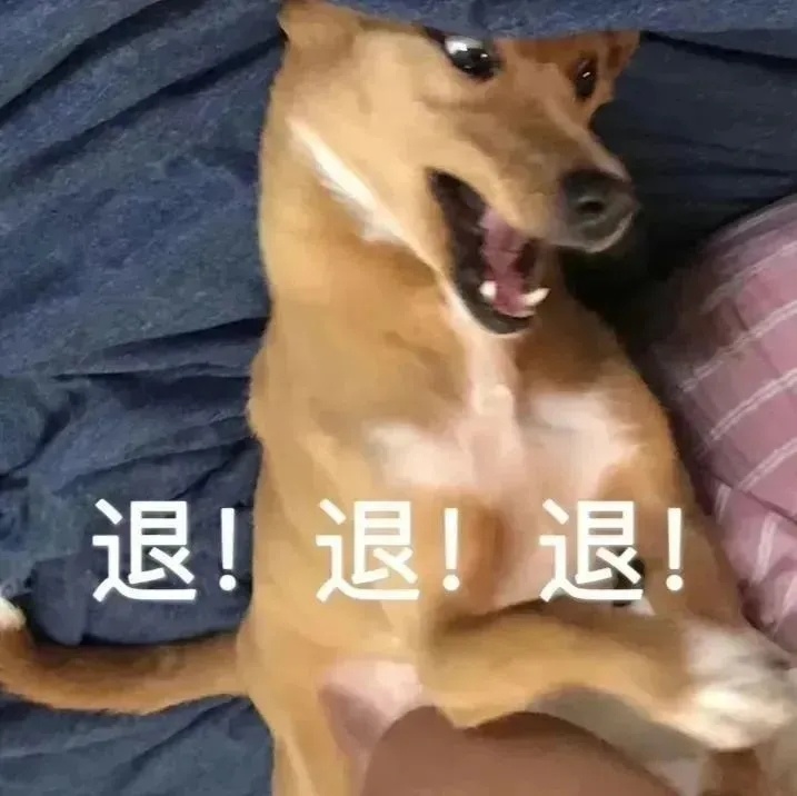 中国人在缅北被明码标价交易 我连去那边旅游都不敢了，更别说去工作了。一些怀揣着淘