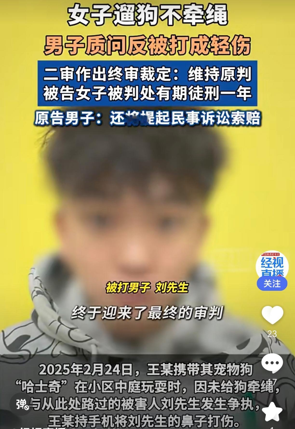 “重庆一男子质问遛狗不牵绳女子被打”案二审法院驳回打人者王某上诉，维持原判，她因