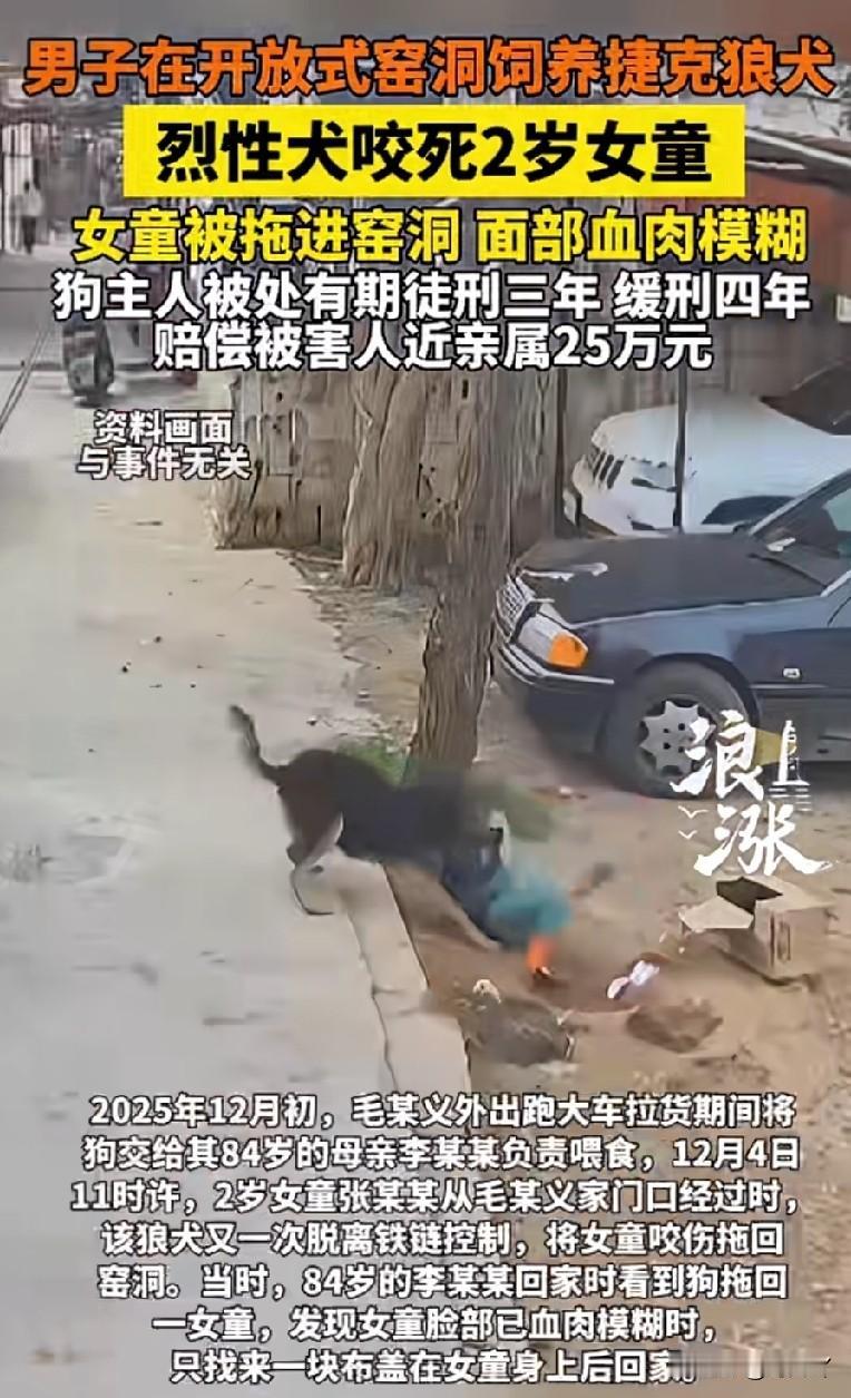 刚才我写了一篇文章，内容是河南汝州市一个两岁的女童被同村一只捷克狼犬给咬s了，结