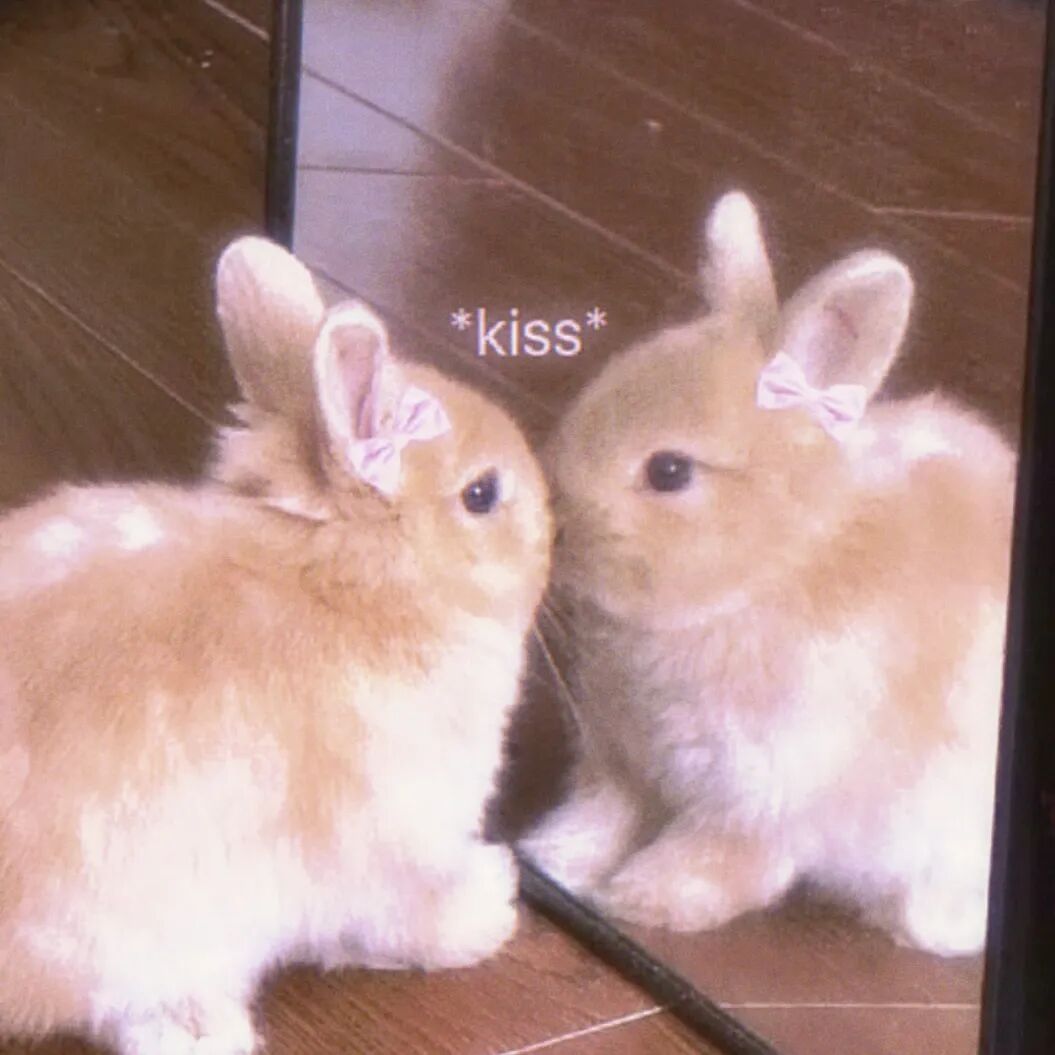 言情小说 来迟啦！今天准备了各大榜单热文500本～ 