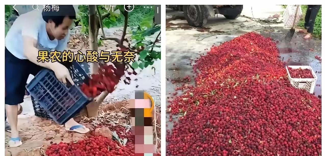5月17日，福建漳州“药水杨梅”事件持续发酵，市场已出现严重反噬：经销商滞销、外