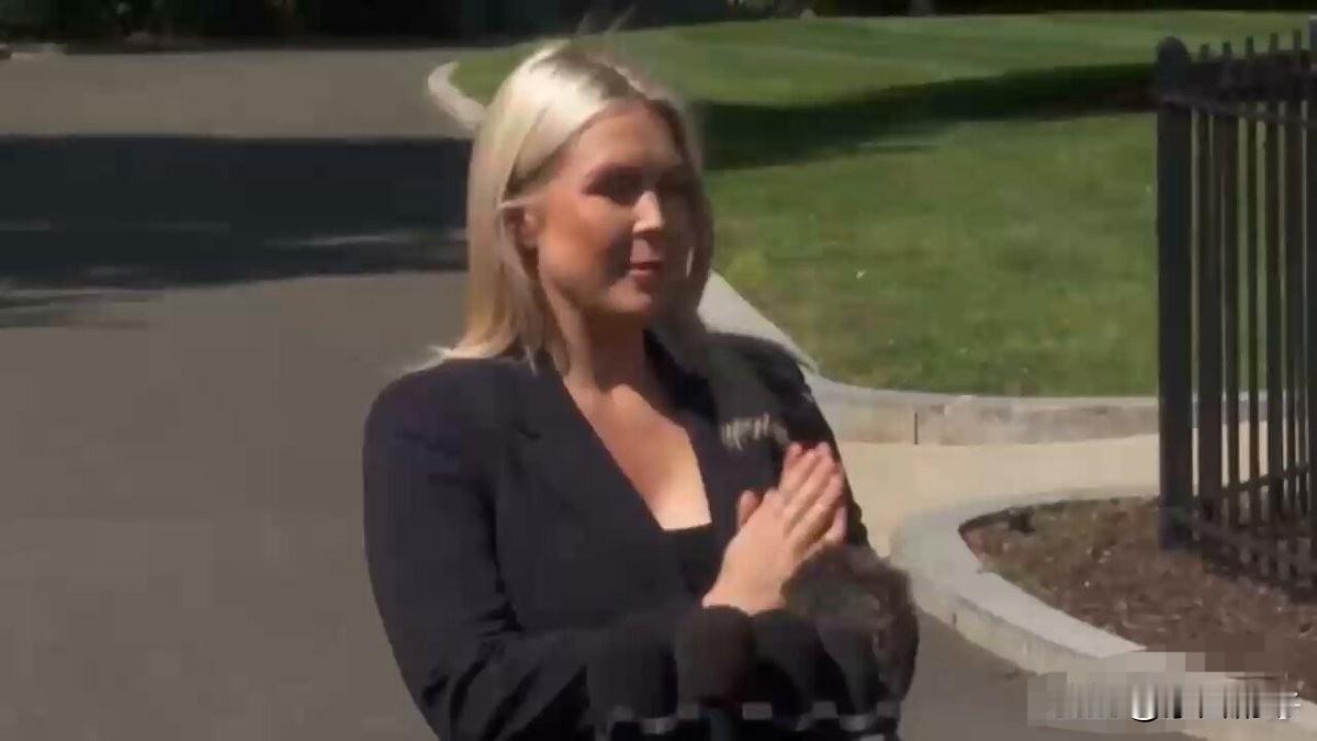 美新闻秘书谈伊朗问题：“军事和动能打击方面已经停火，但‘经济狂怒行动’仍在继续…