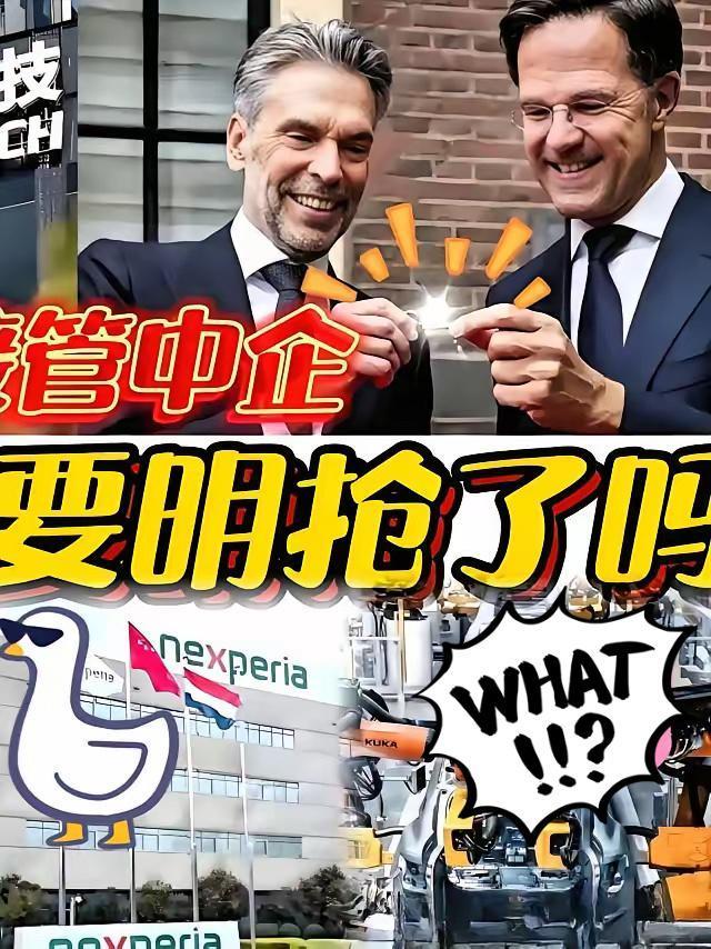 最新消息！
荷兰政府正式宣布：
10月31日有消息称，荷兰禁售DUV光刻机，这步