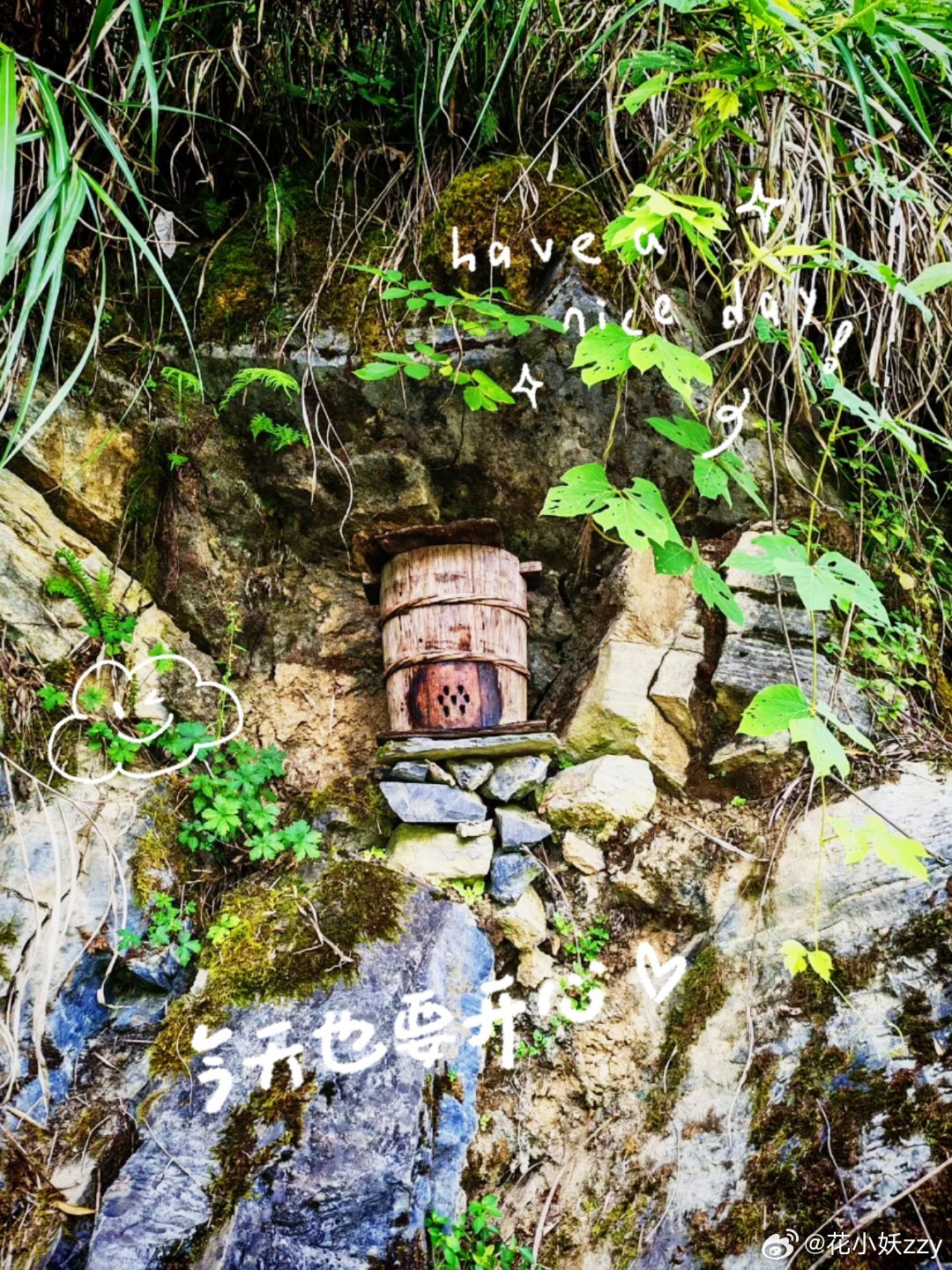 今天也要开心