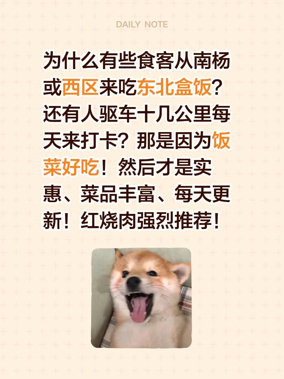 饭菜好吃才是硬道理！为什么有些食客从南杨或西区来吃东北盒饭？还有人驱车十几公里每