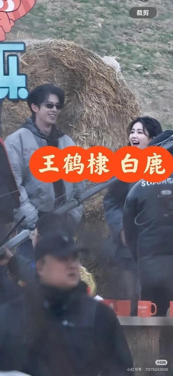 王鹤棣和白鹿又同框啦！鹤妍悦色复婚了？哈哈哈哈 