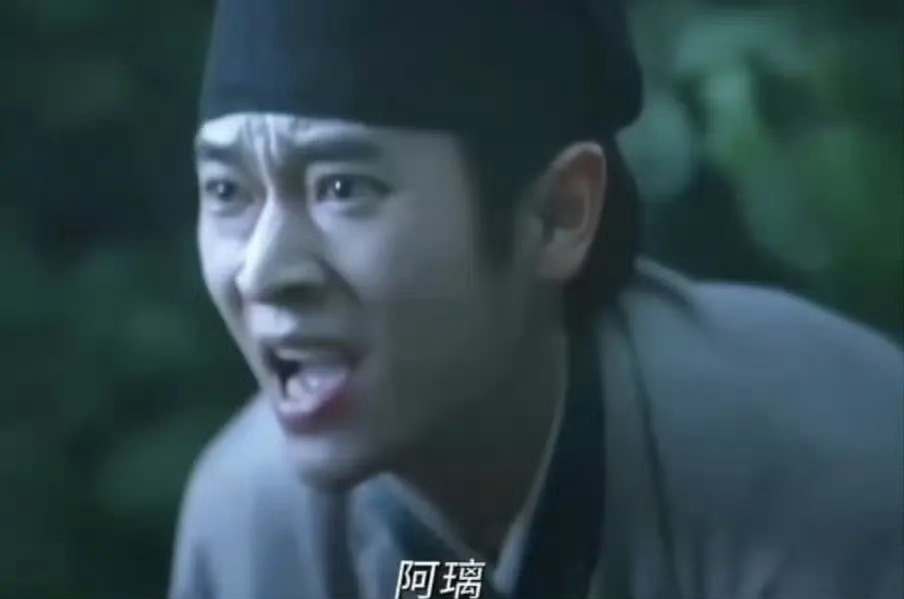 网友称白鹿打戏疑为替身内娱五替一@ 骆驼翔子 丞磊 一部戏五个替身