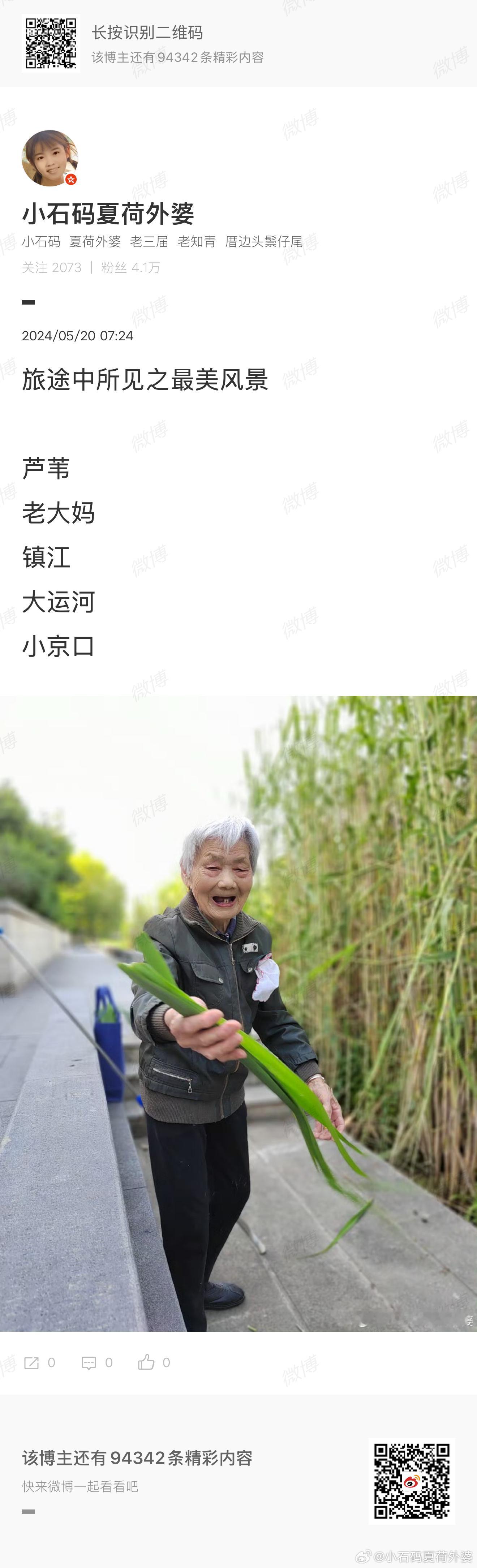 往年在江苏镇江大运河小京口，见到一大妈在摘芦苇叶子准备包粽子。 