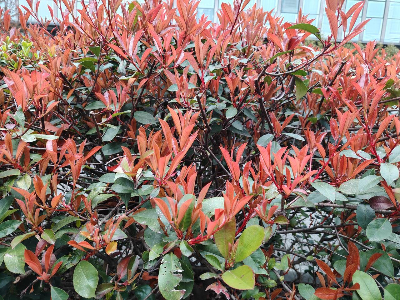 睡醒了，我以为已经六七点钟了。就准备起床洗漱，可打开手机一看，才凌晨四点多。那就