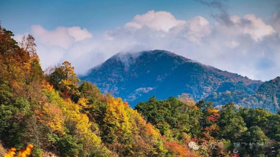 今天推荐大家一处隐秘的赏秋好去处——镇巴县黎溪坪。在这大山深处，黎溪坪以一种不争