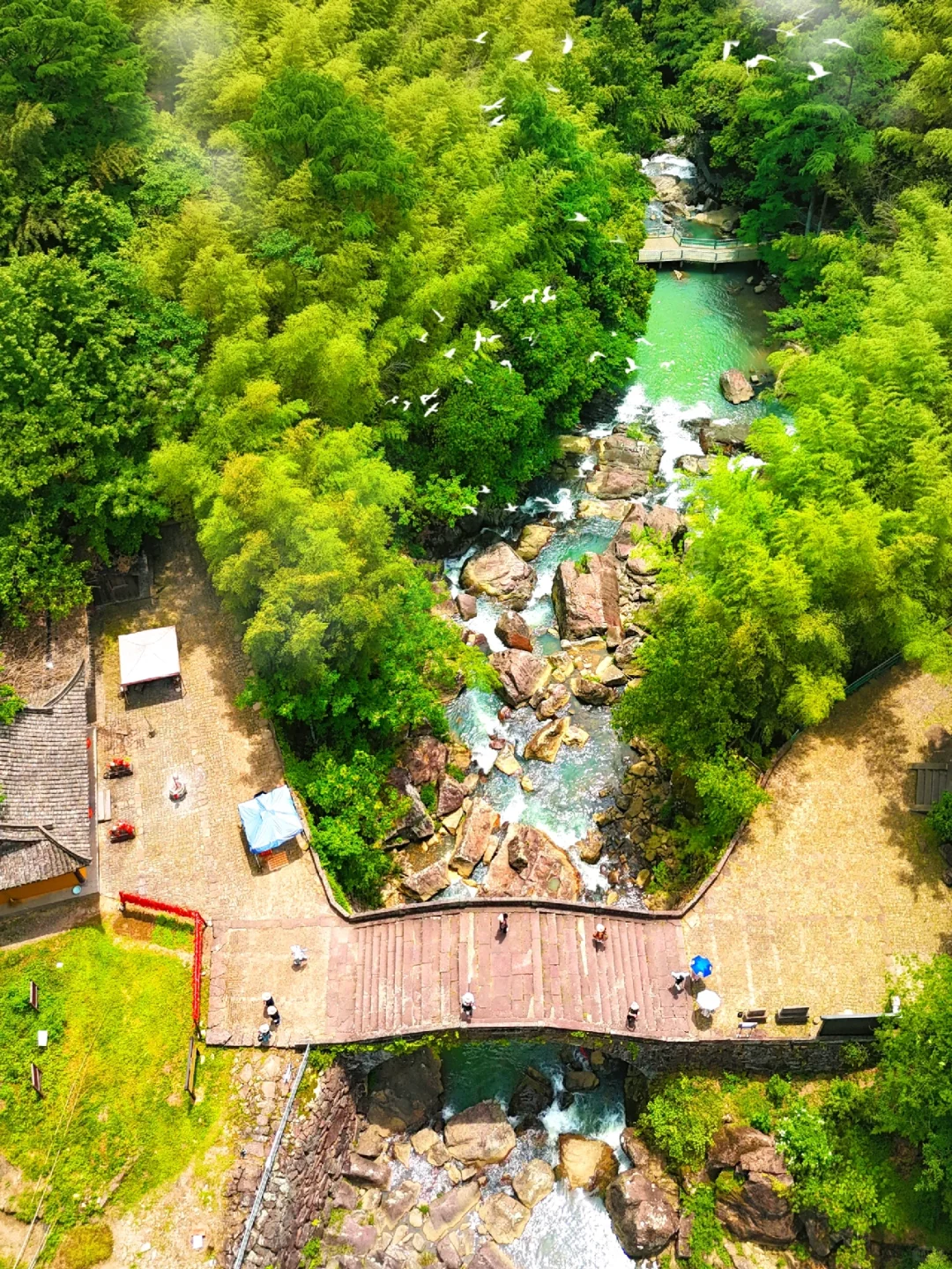 反向旅游‼️除了去西湖，一定要来这里…….
